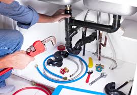 Professional Plumbung Services in Weidman, MI